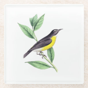 Posavasos De Vidrio pequeño pájaro