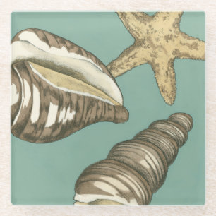 Posavasos De Vidrio Pequeño trío de Shell en trullo