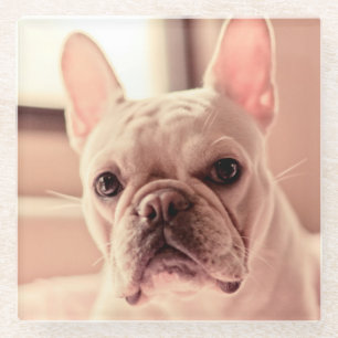Posavasos De Vidrio Perrito del bulldog francés