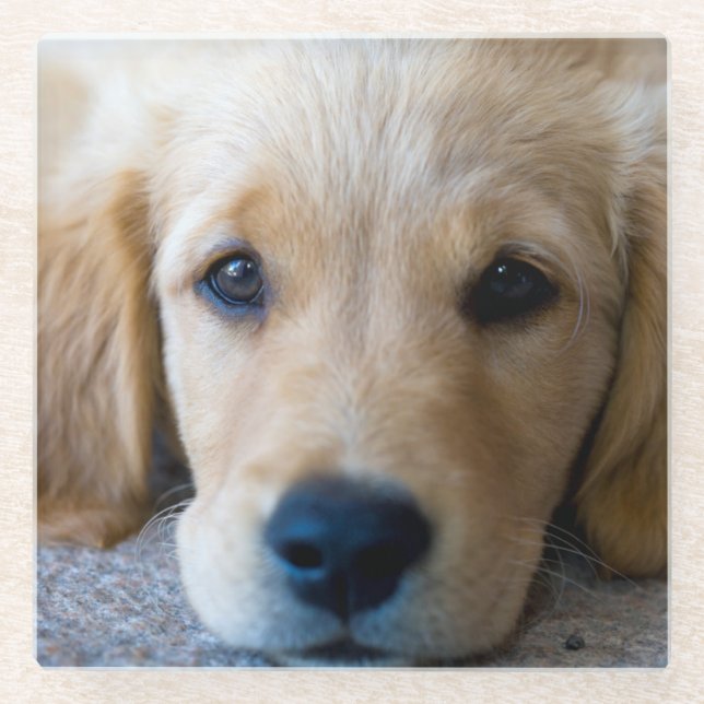 Posavasos De Vidrio Perrito dulce, dulce (Anverso)