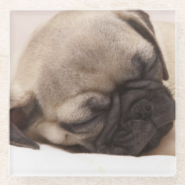 Posavasos De Vidrio Perrito que duerme a fondo (Anverso)