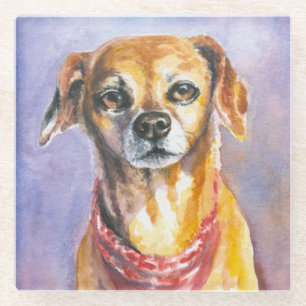 Posavasos De Vidrio Perro 2