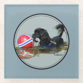 Posavasos De Vidrio Perro de agua portugués con la bola 2 de la boya