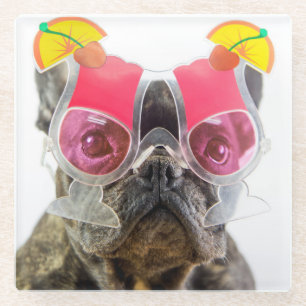 Posavasos De Vidrio Perro de las imágenes el   de Getty con los