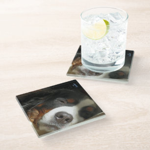 Posavasos De Vidrio perro de montaña bernesa durmiendo