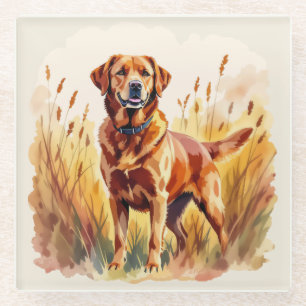 Posavasos De Vidrio Perro Labrador Retriever Fox Rojo