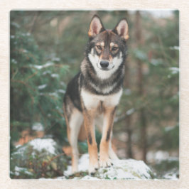 Posavasos De Vidrio Perro lobo