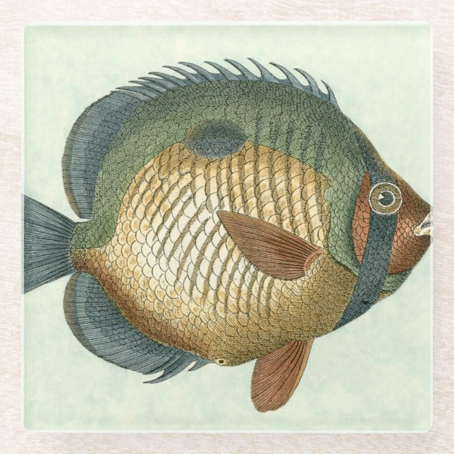 Posavasos De Vidrio Pescado colorido grande (Anverso)