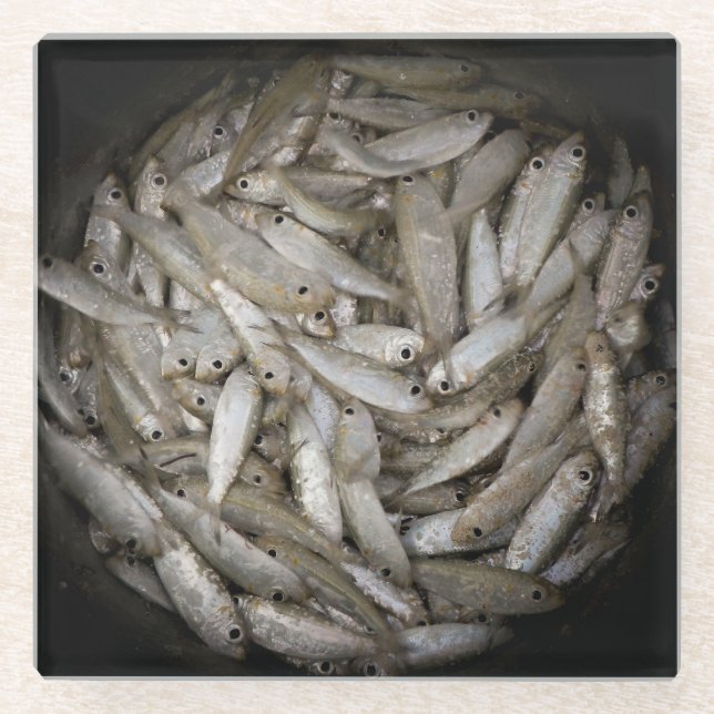 Posavasos De Vidrio Pescado en un balde (Anverso)