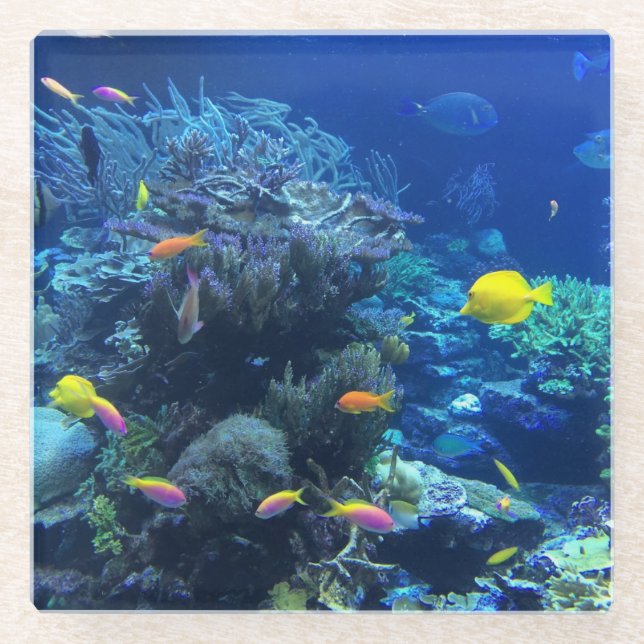 Posavasos De Vidrio Pescados tropicales amarillos (Anverso)