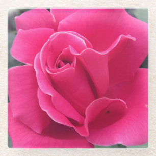 Posavasos De Vidrio Pétalos rosa rosados