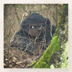 Posavasos De Vidrio Pie grande en el bosque