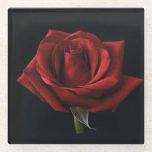 Posavasos De Vidrio Pilar de lanzamiento de rosa roja