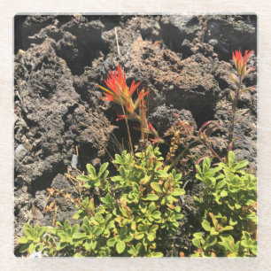 Posavasos De Vidrio Pincel indio