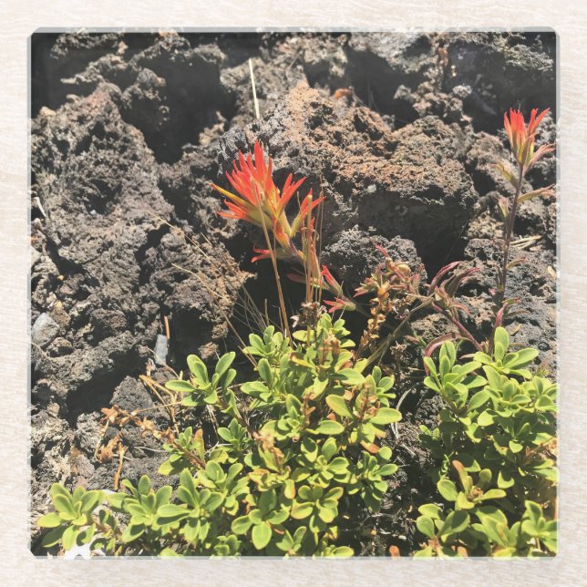 Posavasos De Vidrio Pincel indio (Anverso)