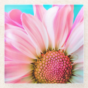 Posavasos De Vidrio Pink Daisy