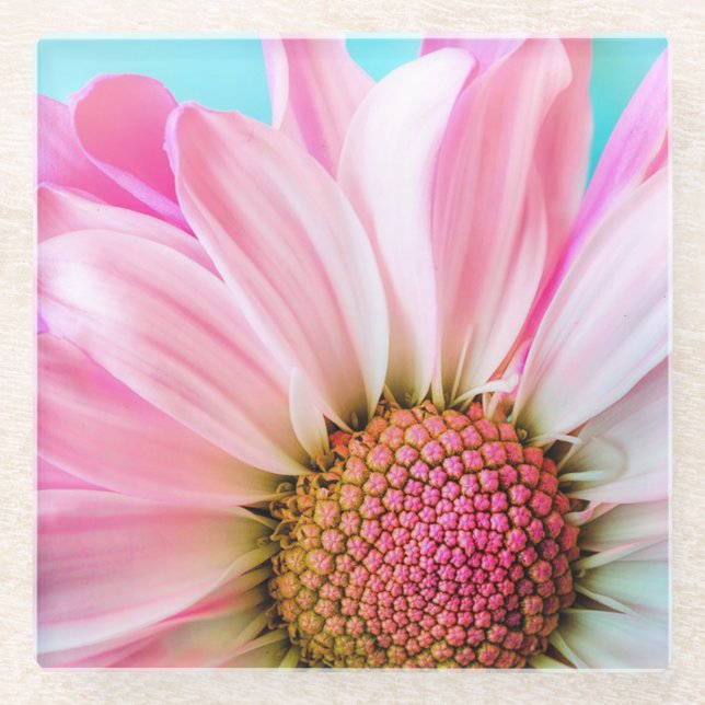 Posavasos De Vidrio Pink Daisy (Anverso)