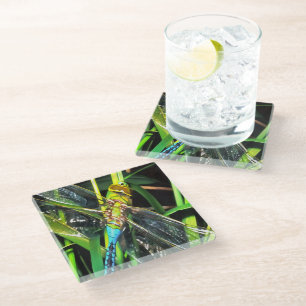 Posavasos De Vidrio Pintado de alas con volante azul