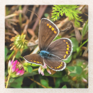 Posavasos De Vidrio Pintado de poliommatus Icarus de mariposa azul com