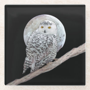 Posavasos De Vidrio Pintura de lechuza y luna - Arte original de aves
