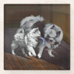 Posavasos De Vidrio Pintura de tiempo de juego de Keeshond - Arte de p