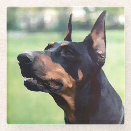 Posavasos De Vidrio Pintura soñadora de la cara del Pinscher del
