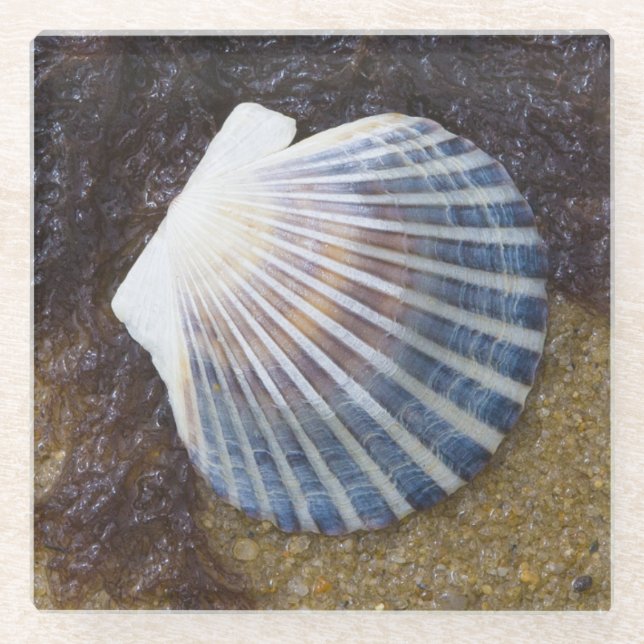 Posavasos De Vidrio Piscina de marea (Anverso)