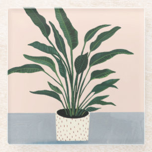 Posavasos De Vidrio Planta doméstica