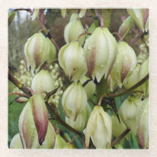Posavasos De Vidrio Planta Yucca