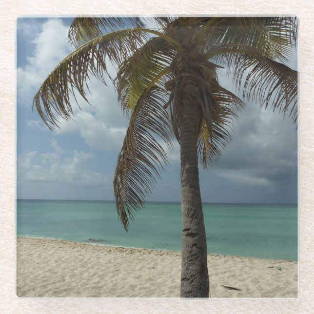 Posavasos De Vidrio Playa de Aruba I Bella Escena Natural (Anverso)