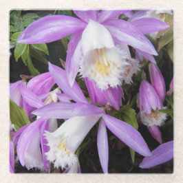 Posavasos De Vidrio Pleione Windowsill Orchids Floral