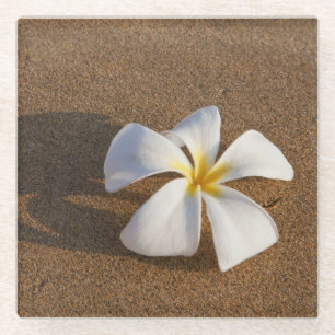 Posavasos De Vidrio Plumeria en playa arenosa, Maui, Hawái, EE. UU.