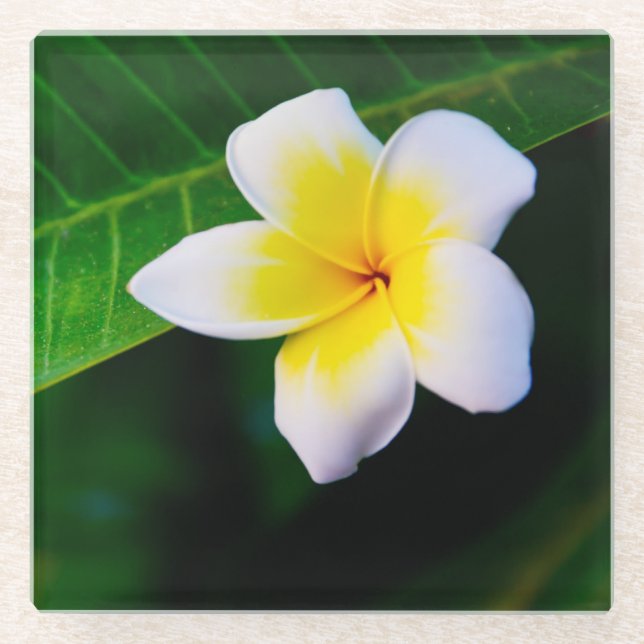 Posavasos De Vidrio Plumerias (Anverso)