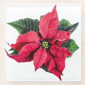 Posavasos De Vidrio Poinsettia