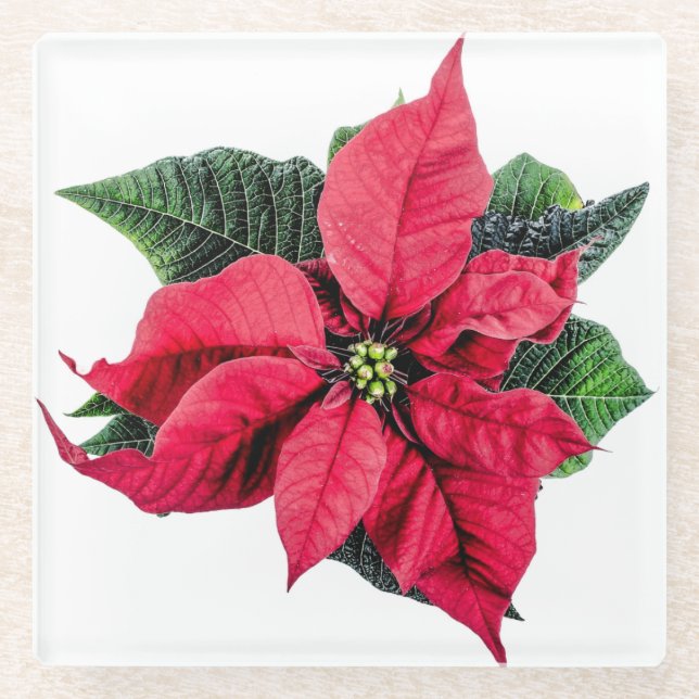 Posavasos De Vidrio Poinsettia (Anverso)