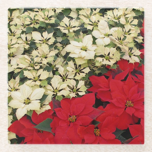 Posavasos De Vidrio Poinsettias blancas y rojas con flores (Anverso)