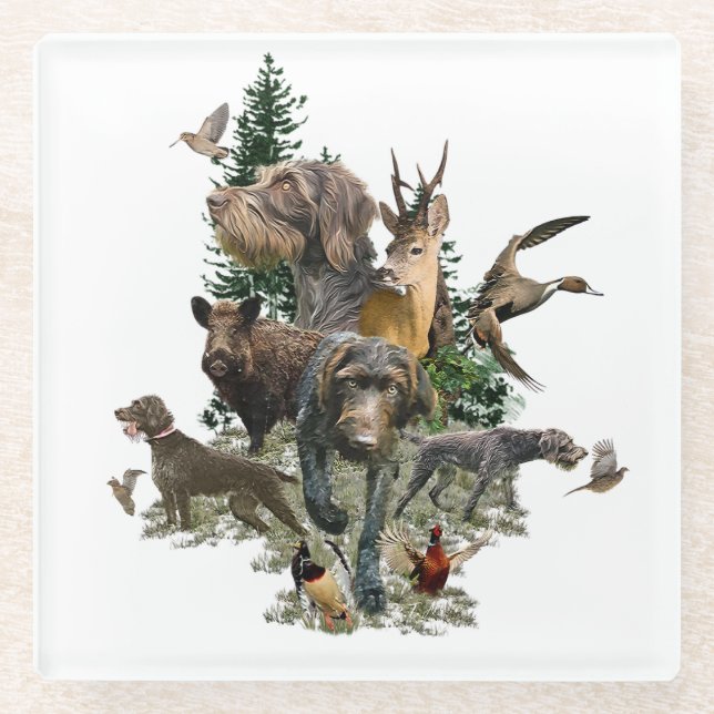 Posavasos De Vidrio Pointer de pelo duro alemán (Anverso)