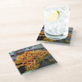 Posavasos De Vidrio Pollo naranja del champiñón de Woods