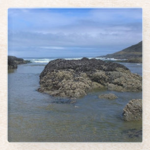Posavasos De Vidrio Pools de marea en Bob Creek, OR