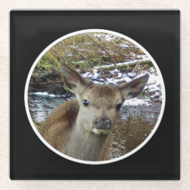 Posavasos De Vidrio Poses de ciervo para bebé para la escoria de vidri