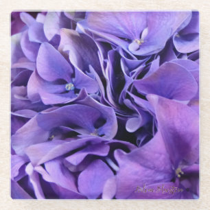 Posavasos De Vidrio Práctico de costa de cristal LK del Hydrangea