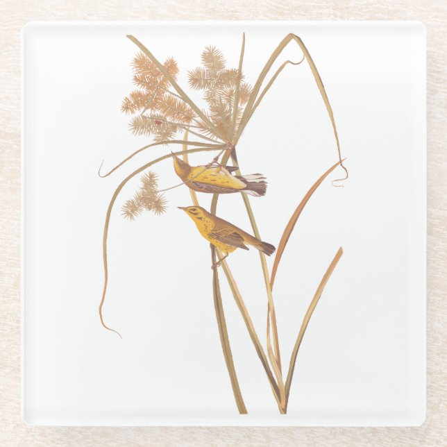 Posavasos De Vidrio Prairie Warbler Audubon Ave Amarilla (Anverso)