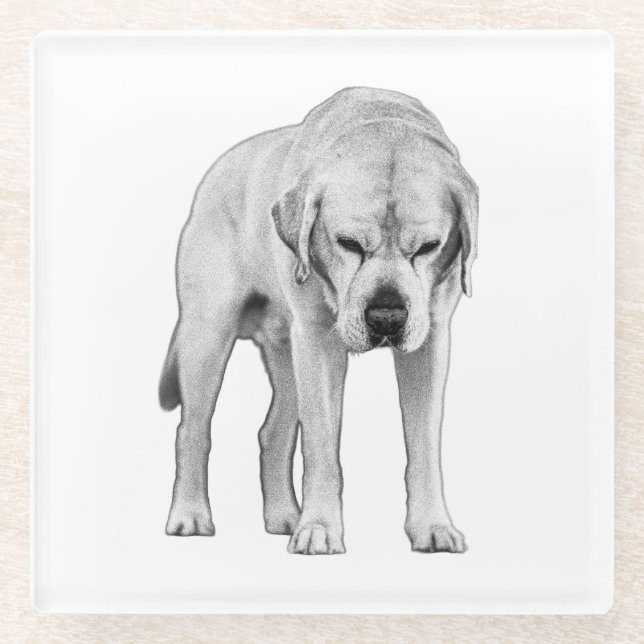 Posavasos De Vidrio Presencia de Etched (Anverso)