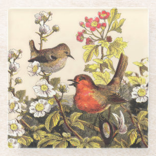 Posavasos De Vidrio Primavera Robin Birds Red Birds