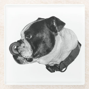 Posavasos De Vidrio Protector de mesa Bulldog Gentle