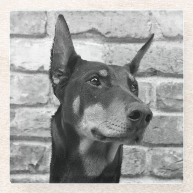 Posavasos De Vidrio Puedo lamerme la cara (Anverso)