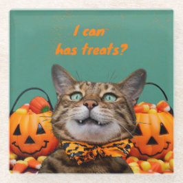 Posavasos De Vidrio Puedo Tratar La Monstruo De Vidrio Gato