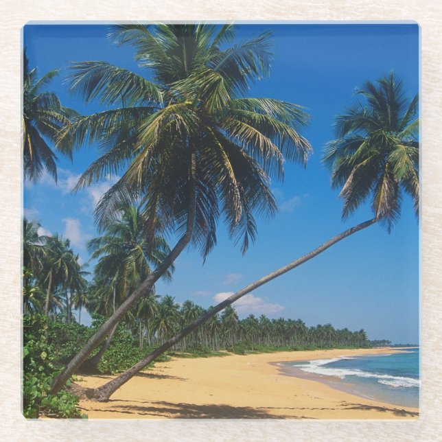 Posavasos De Vidrio Puerto Rico, Isla Verde, palmeras (Anverso)