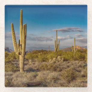 Posavasos De Vidrio Puesta del sol del cactus en Arizona