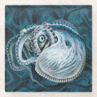 Posavasos De Vidrio Pulpito calamar nautilus argonauta vintage